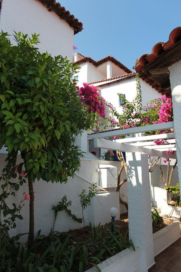 Hotel Elena Syvota Sívota Exterior foto
