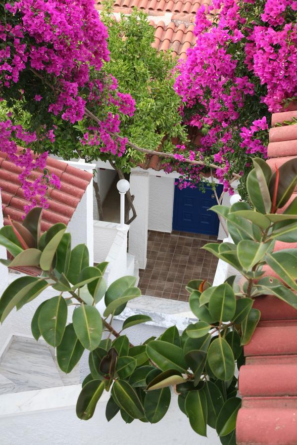 Hotel Elena Syvota Sívota Exterior foto